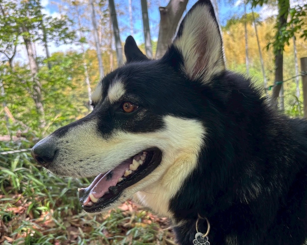 診察時間についてのお知らせ