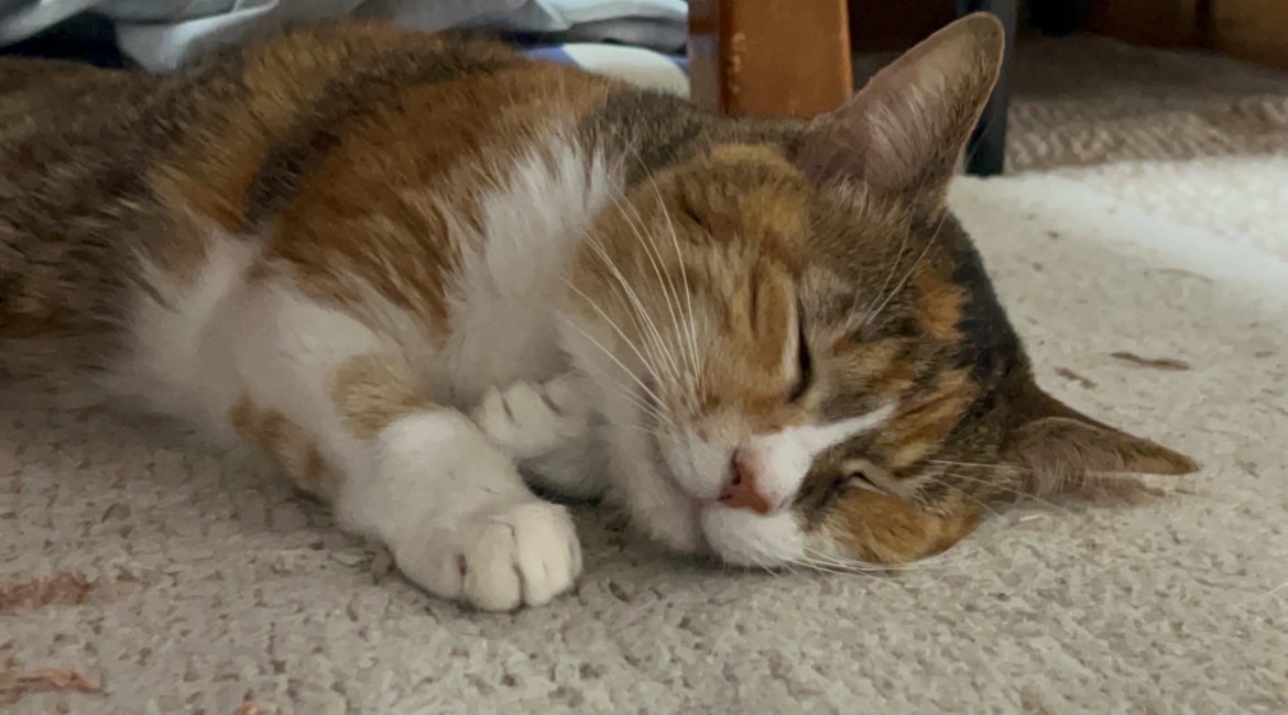 年末年始のお知らせ