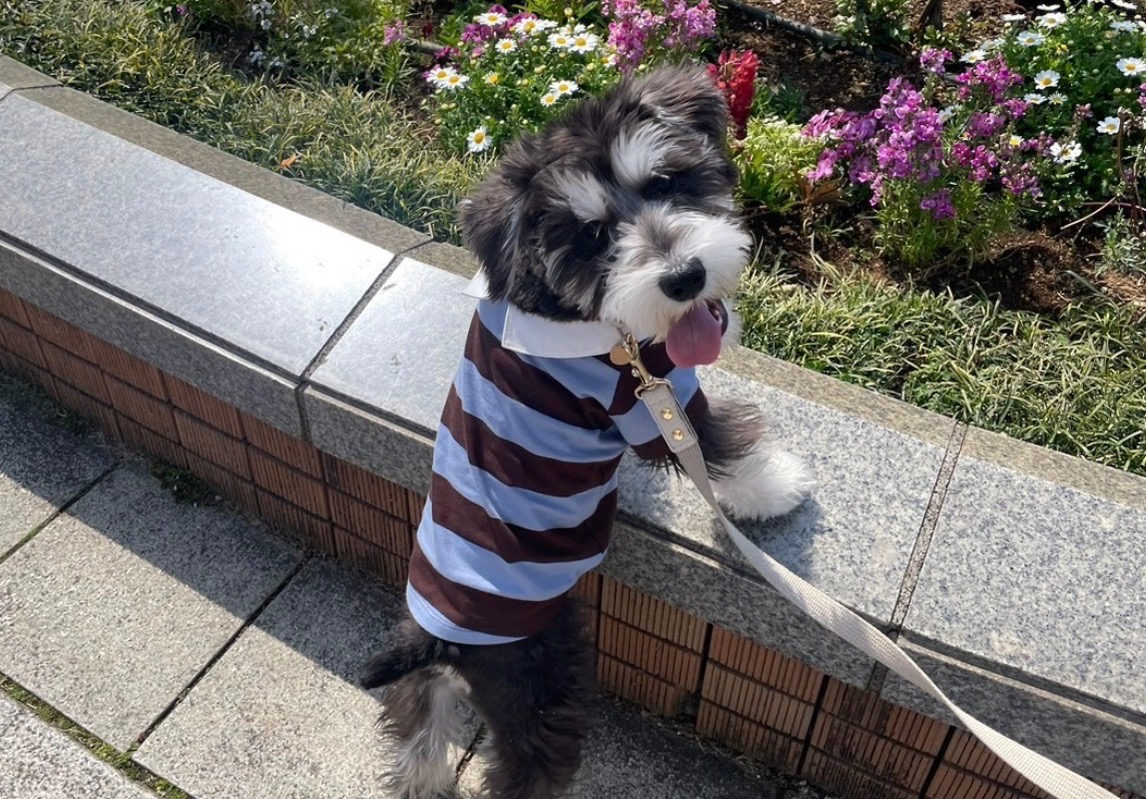 院長不在日のお知らせ