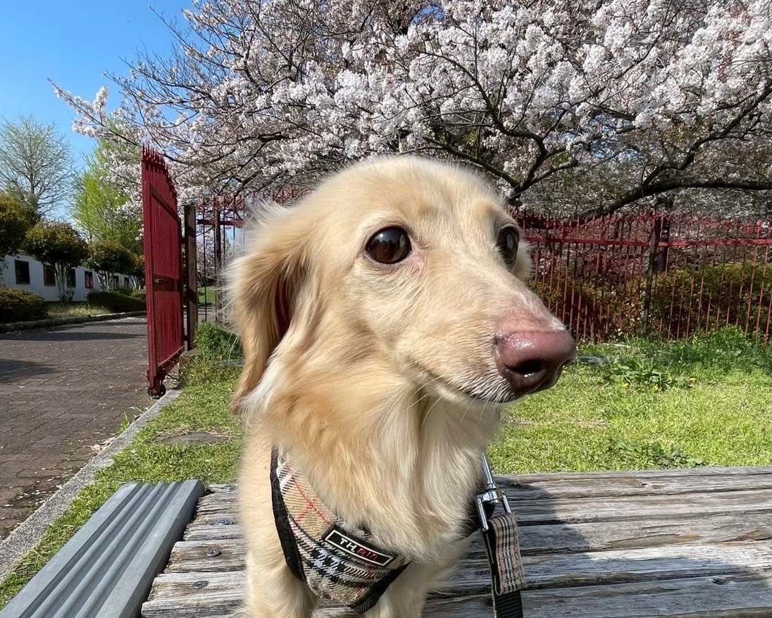 GWの診察時間について