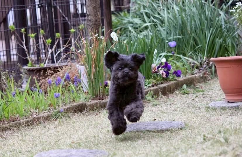 院長不在のお知らせ